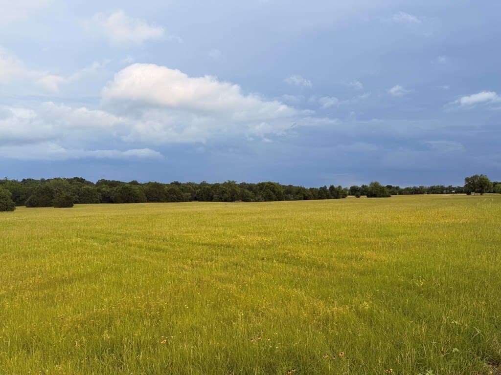 28 acres in Henderson County - photo 10
