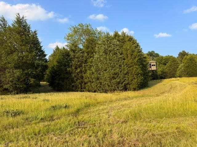28 acres in Henderson County - photo 23