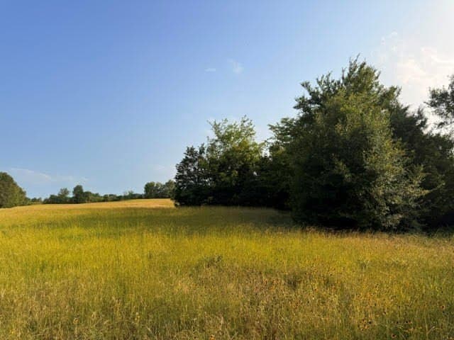 28 acres in Henderson County - photo 26