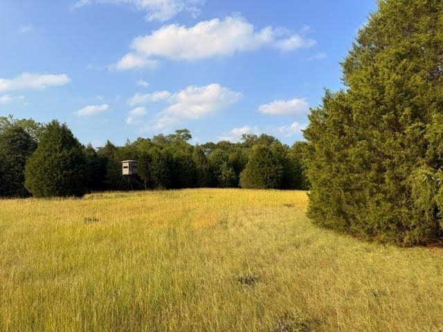 28 acres in Henderson County - photo 22