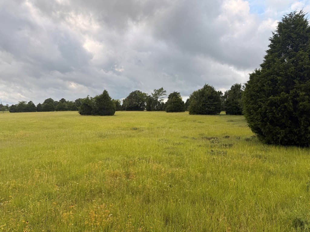 28 acres in Henderson County - photo 9
