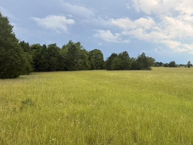 28 acres in Henderson County - photo 7