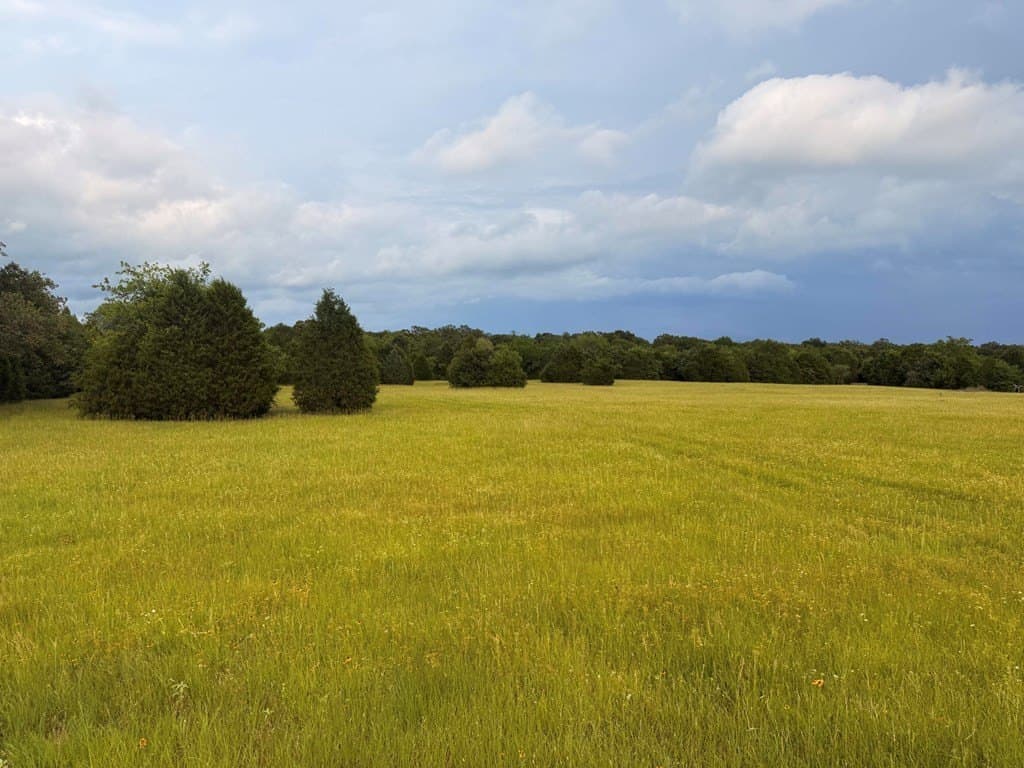 28 acres in Henderson County - photo 12