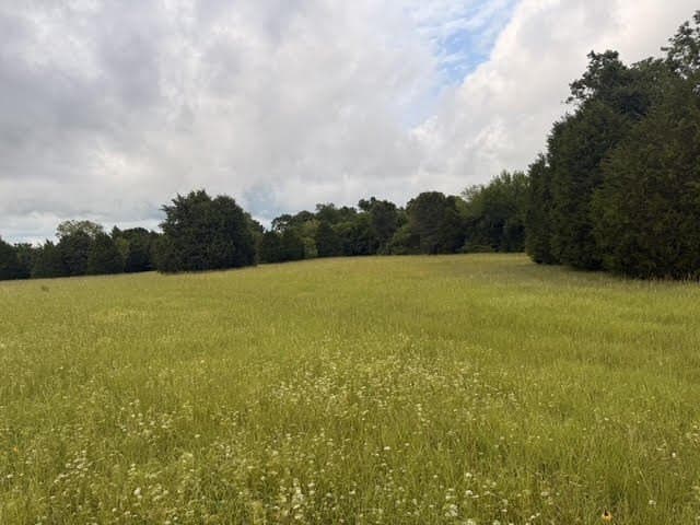28 acres in Henderson County - photo 6