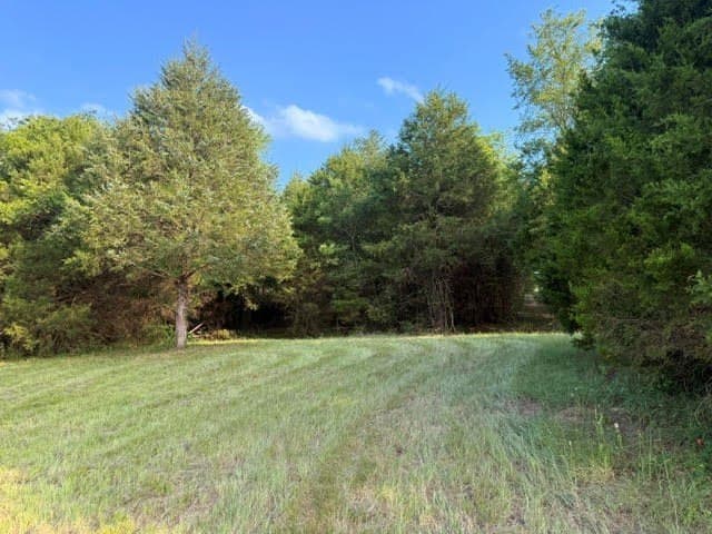 28 acres in Henderson County - photo 21