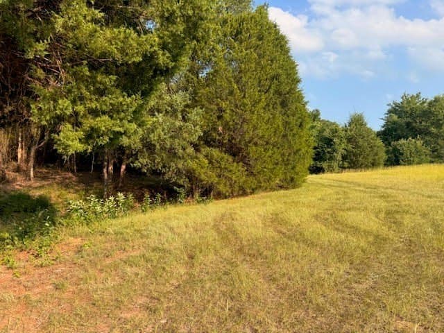28 acres in Henderson County - photo 18
