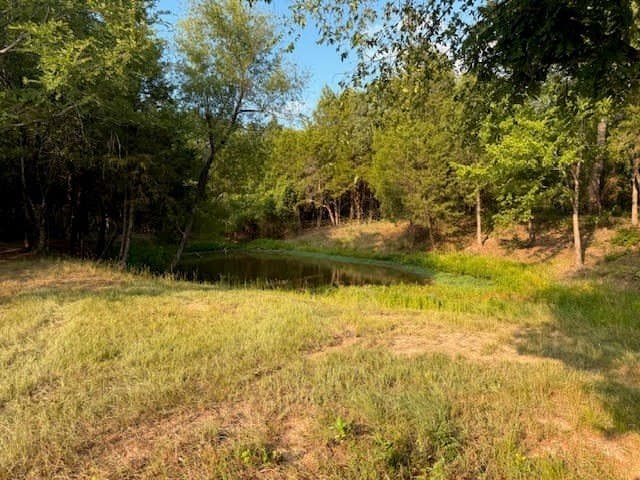 28 acres in Henderson County - photo 19