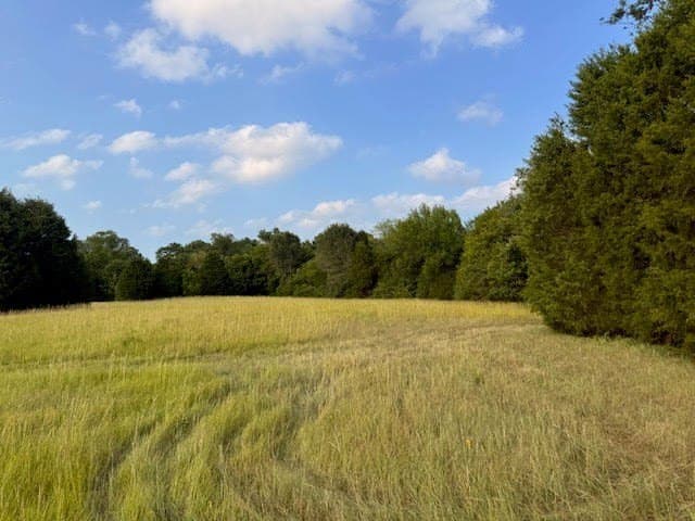 28 acres in Henderson County - photo 20