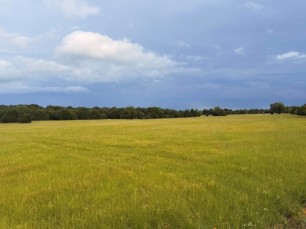 28 acres in Henderson County - photo 11