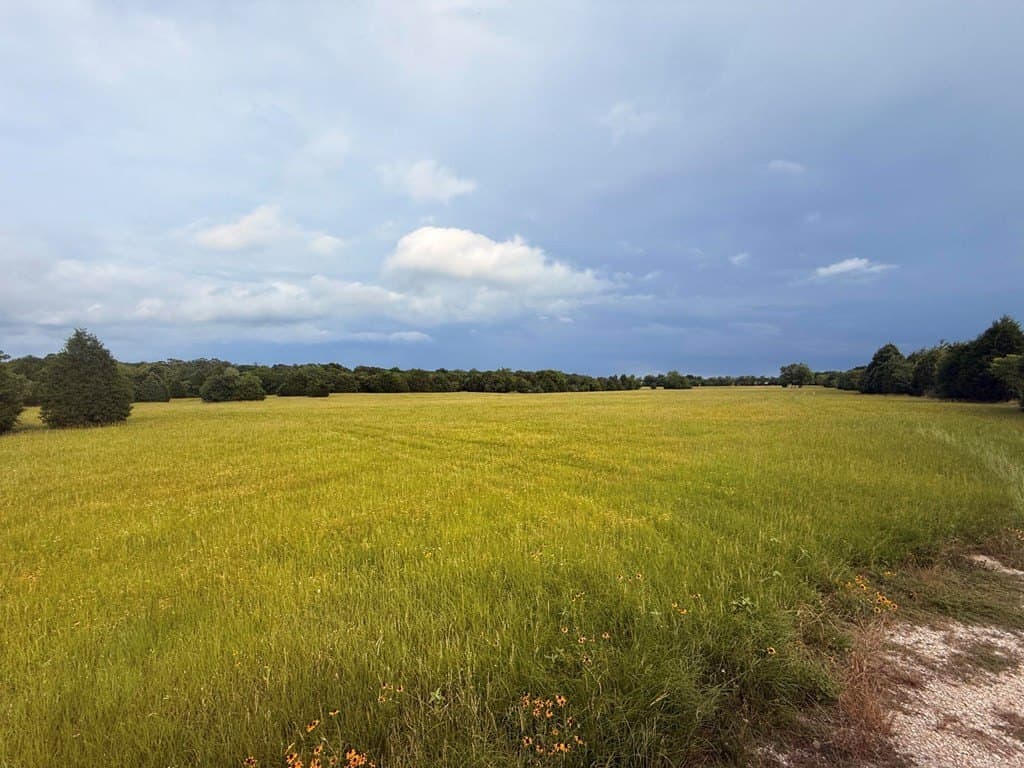 28 acres in Henderson County - photo 13
