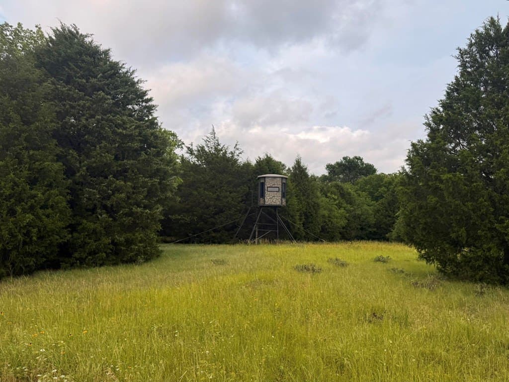 28 acres in Henderson County - photo 14