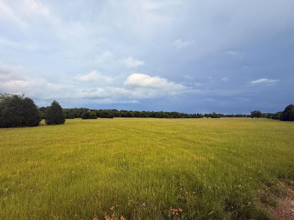 28 acres in Henderson County - photo 17