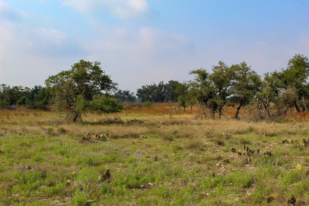 6.62 acres in Kerr County gallery image 2