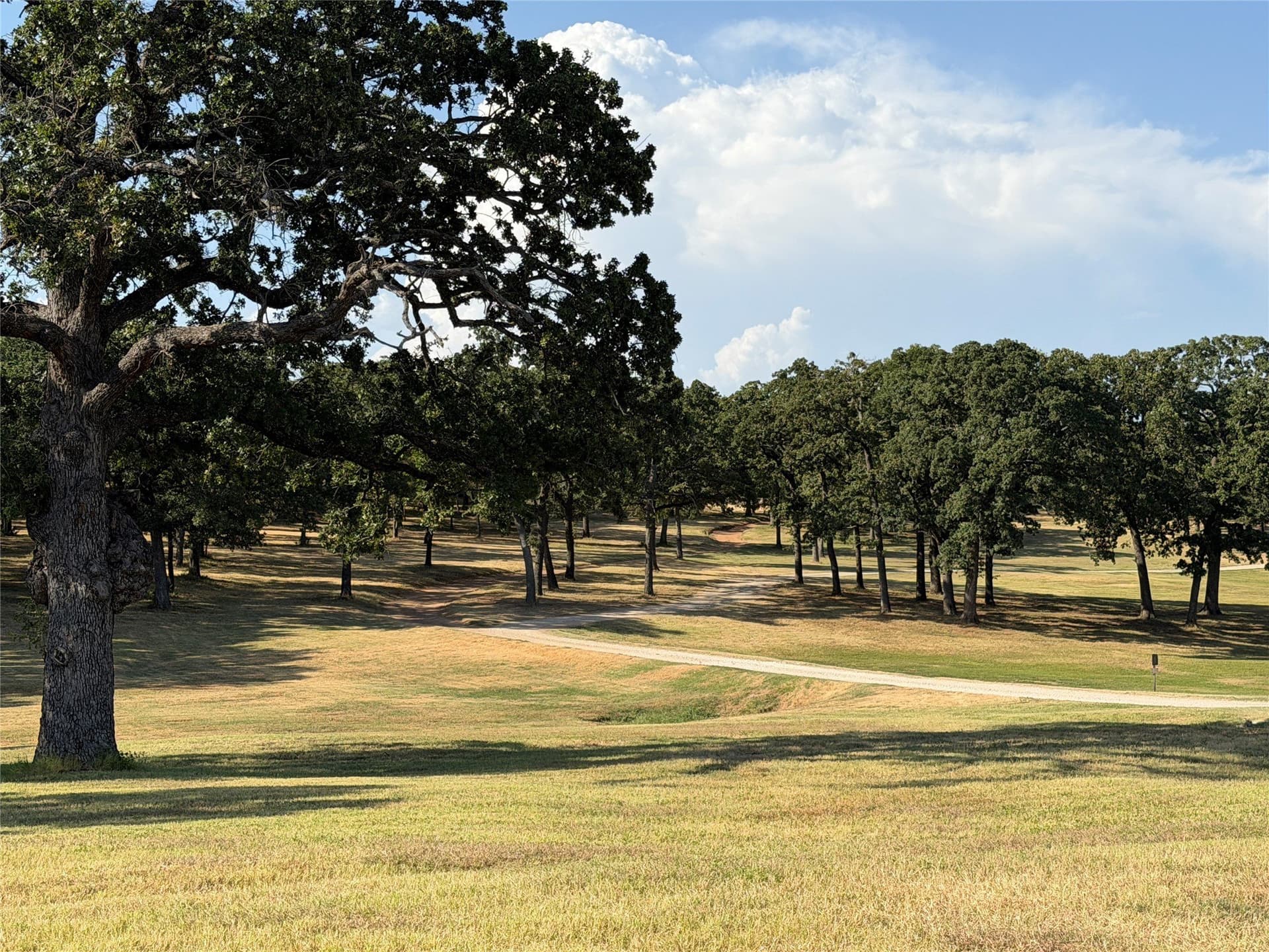0.35 acres in Grayson County - photo 22