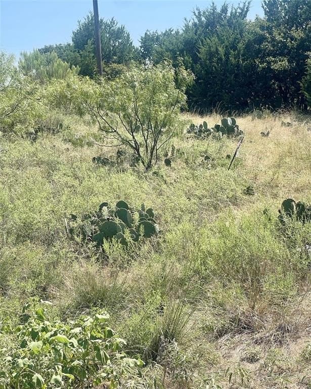 0.1 acres in Palo Pinto County gallery image 3
