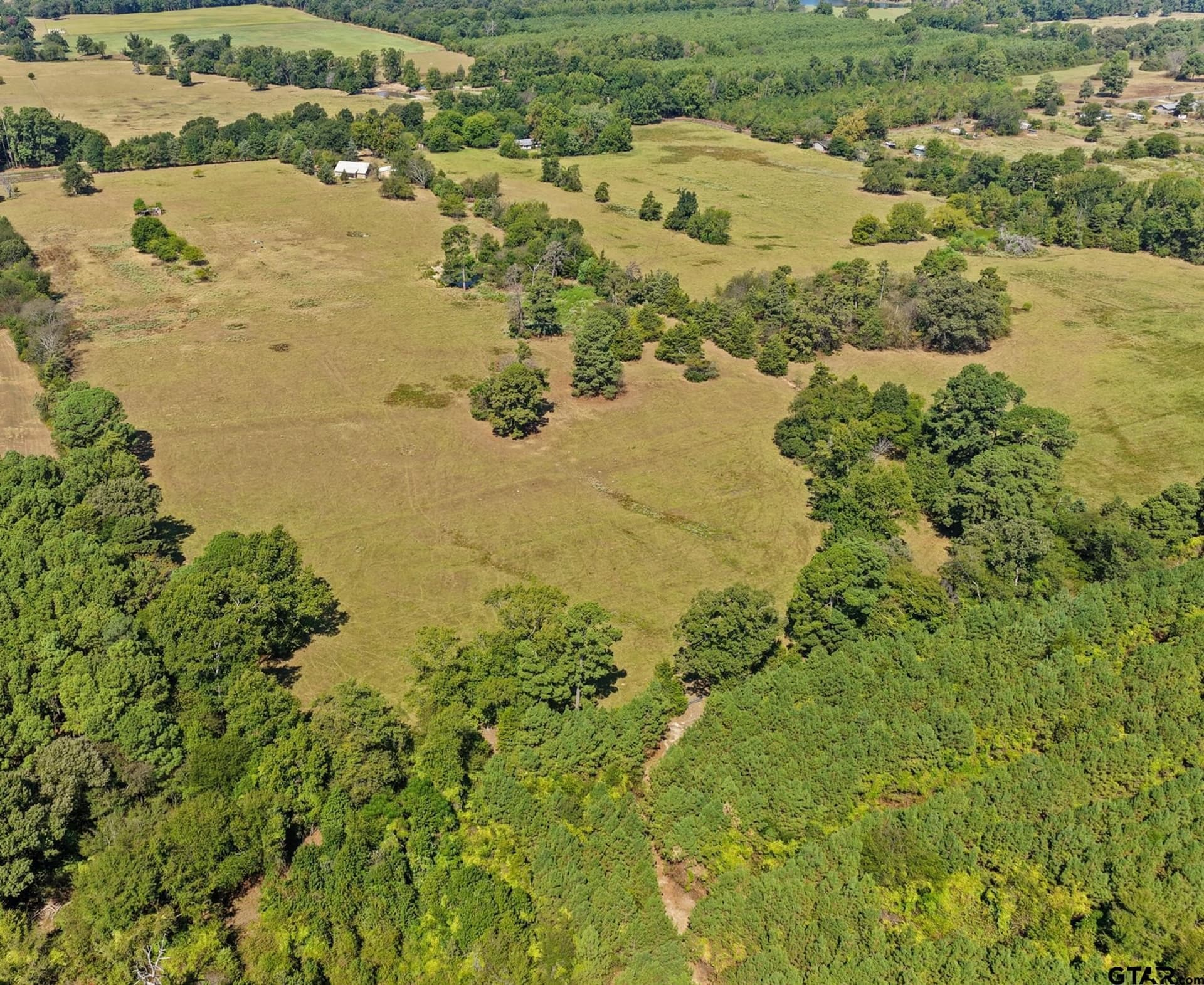 97.56 acres in Camp County - photo 36