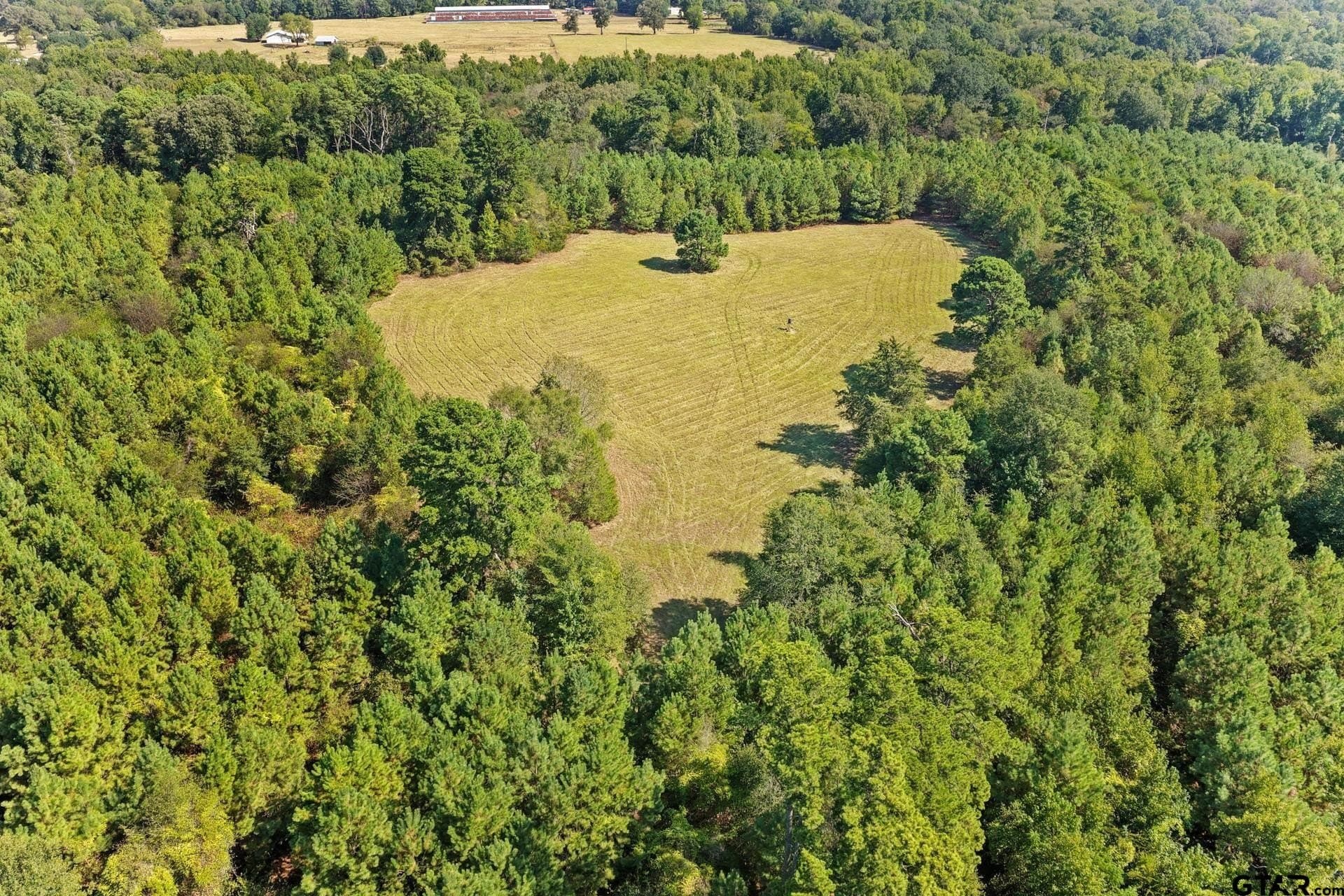 97.56 acres in Camp County - photo 37