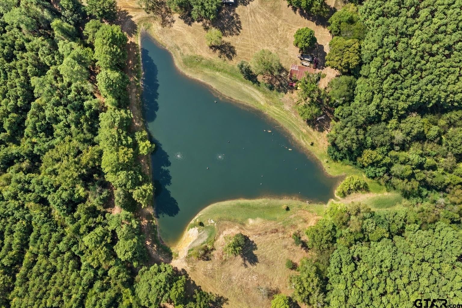 97.56 acres in Camp County - photo 34