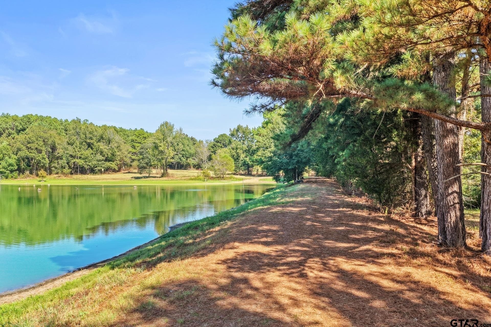 97.56 acres in Camp County - photo 38