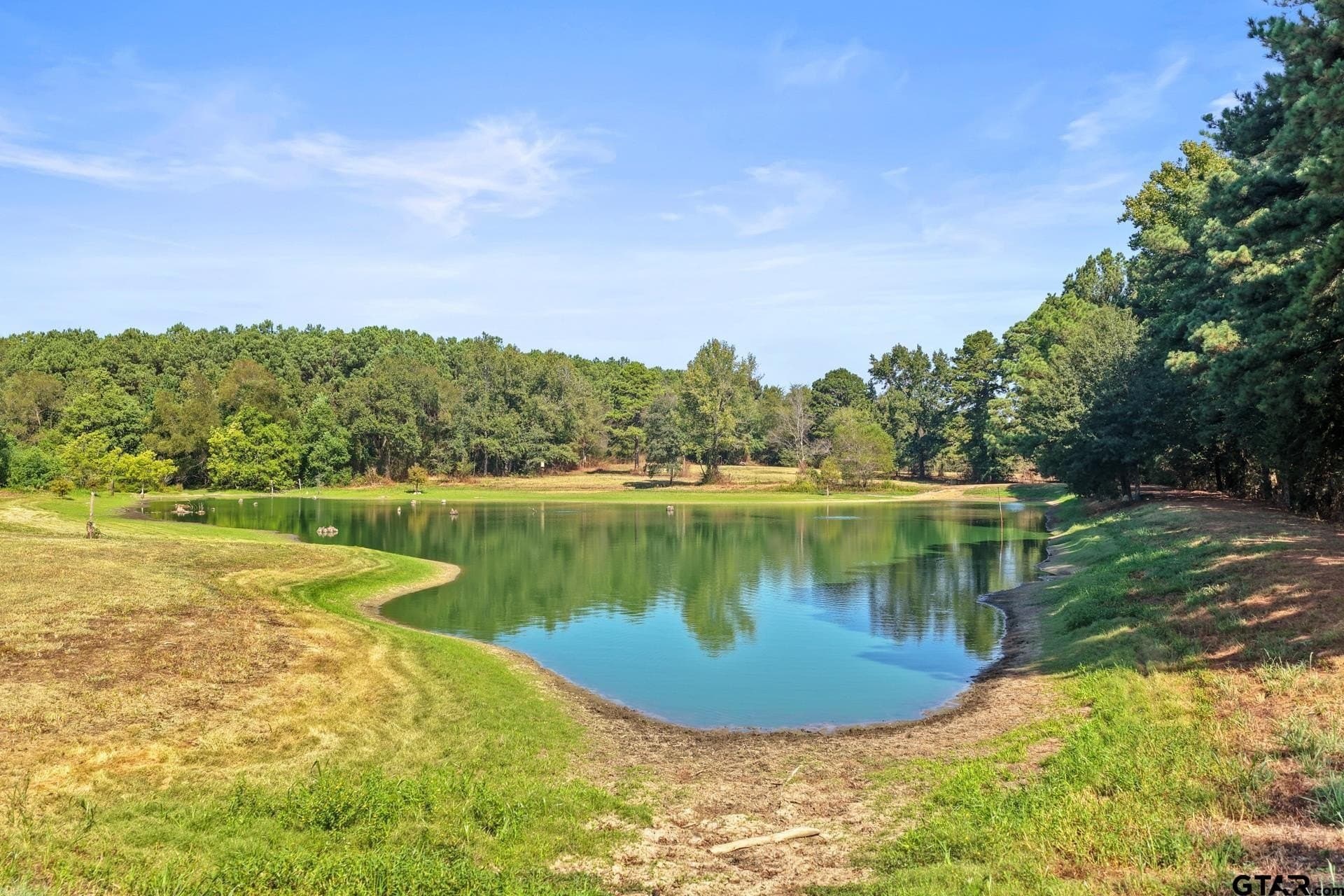 97.56 acres in Camp County - photo 21