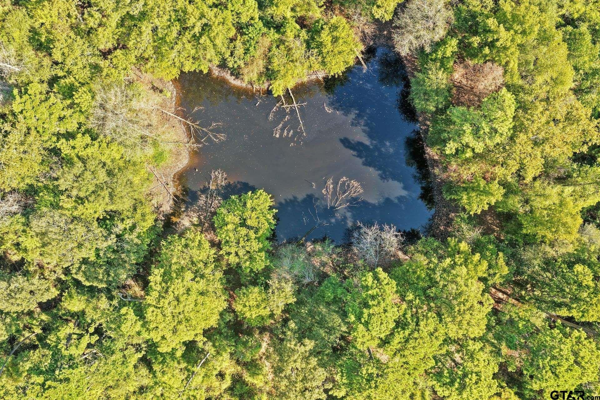 97.56 acres in Camp County - photo 35