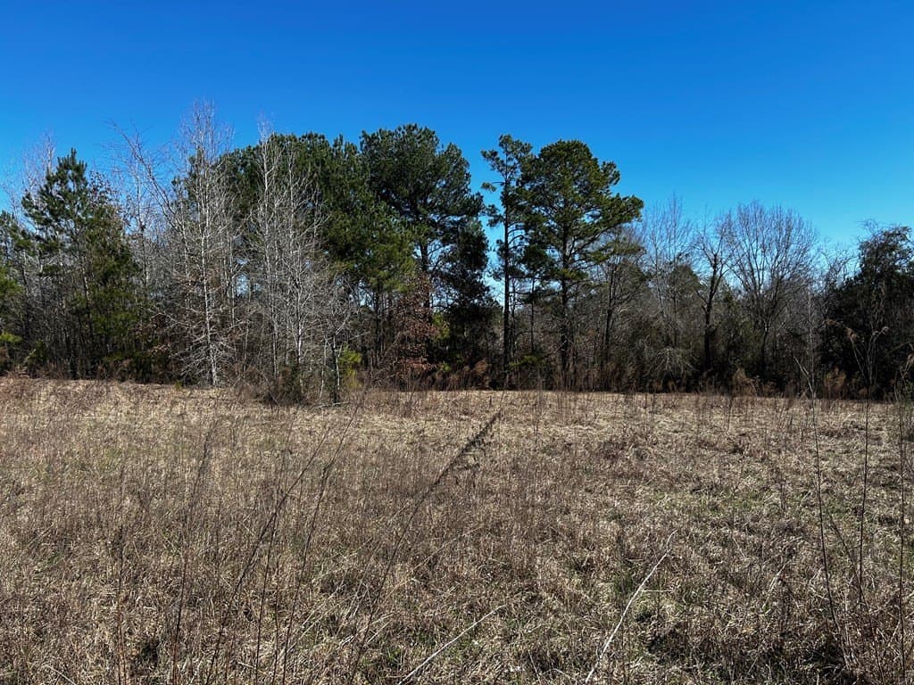 50 acres in Texas County gallery image 3