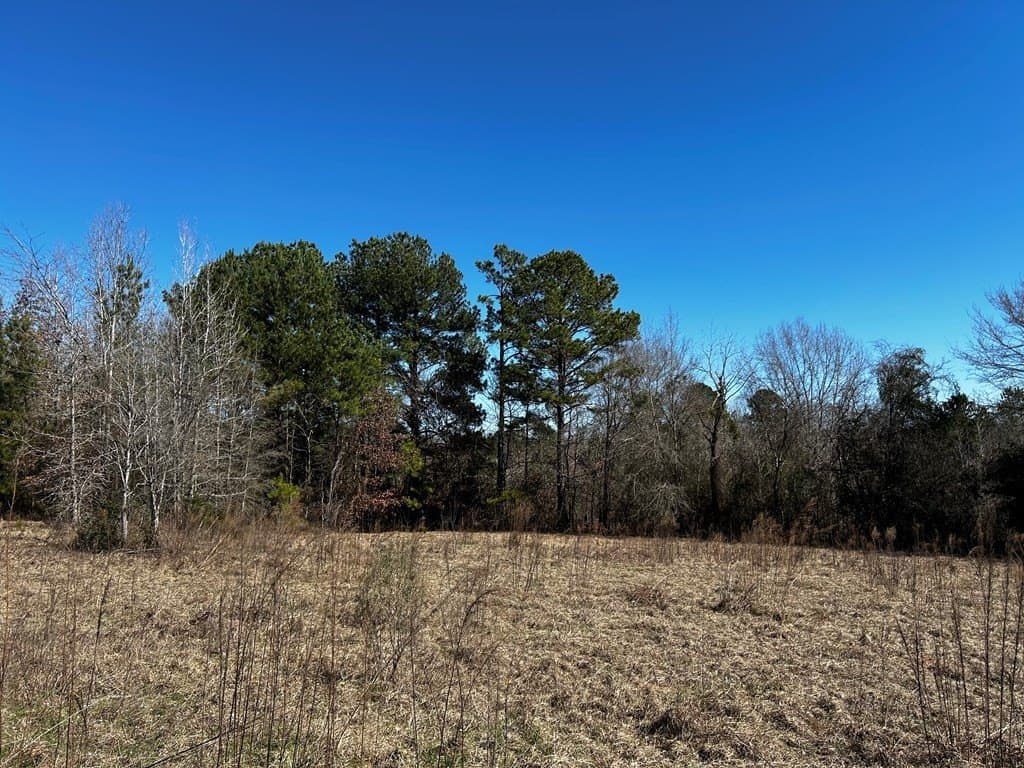 50 acres in Texas County gallery image 4