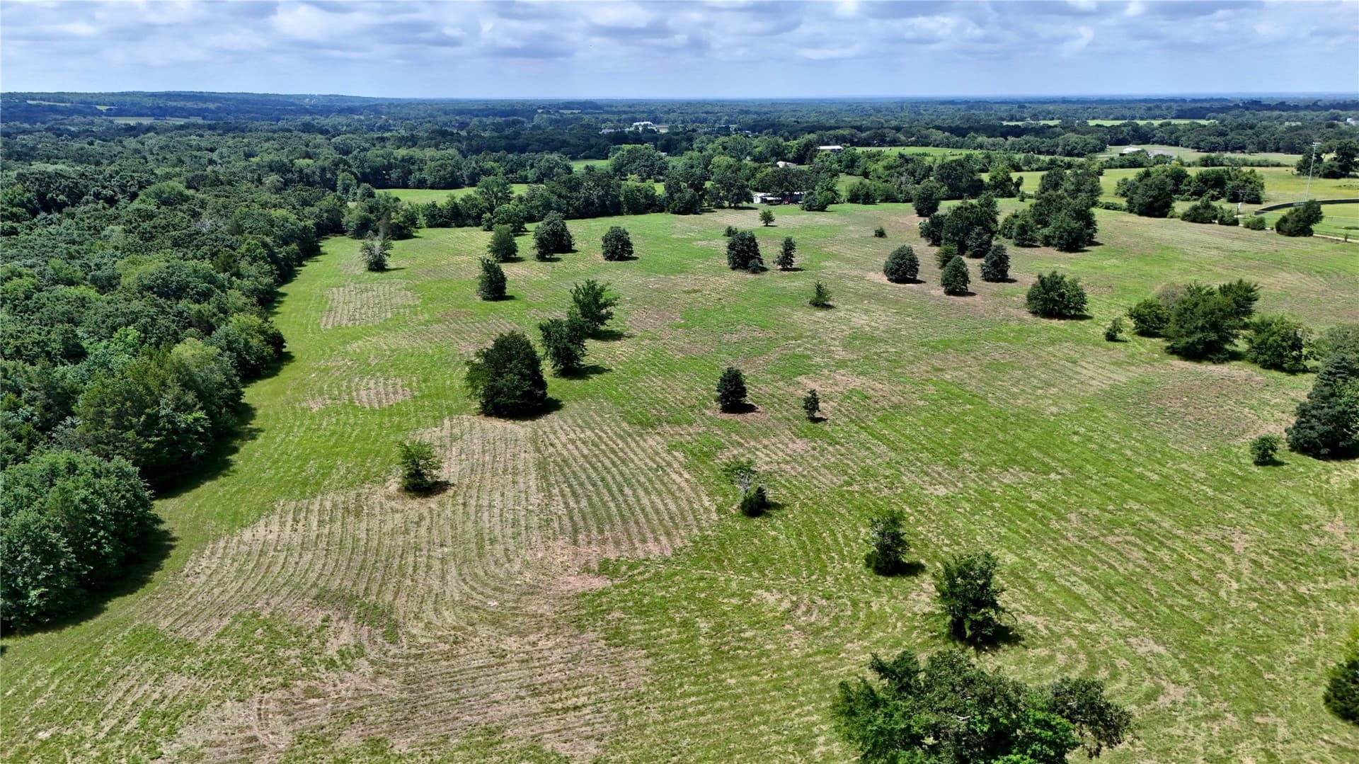 50 acres in Henderson County - photo 2