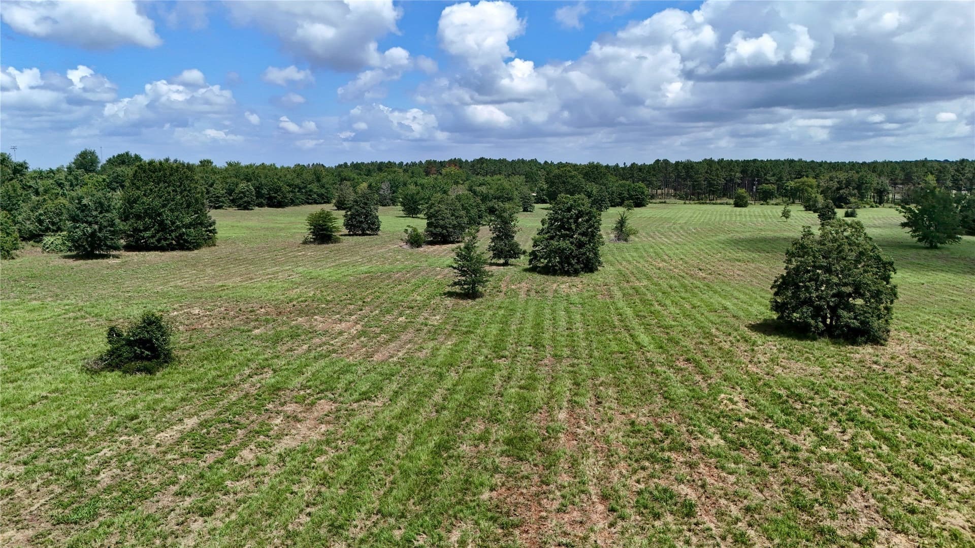 50 acres in Henderson County - photo 4