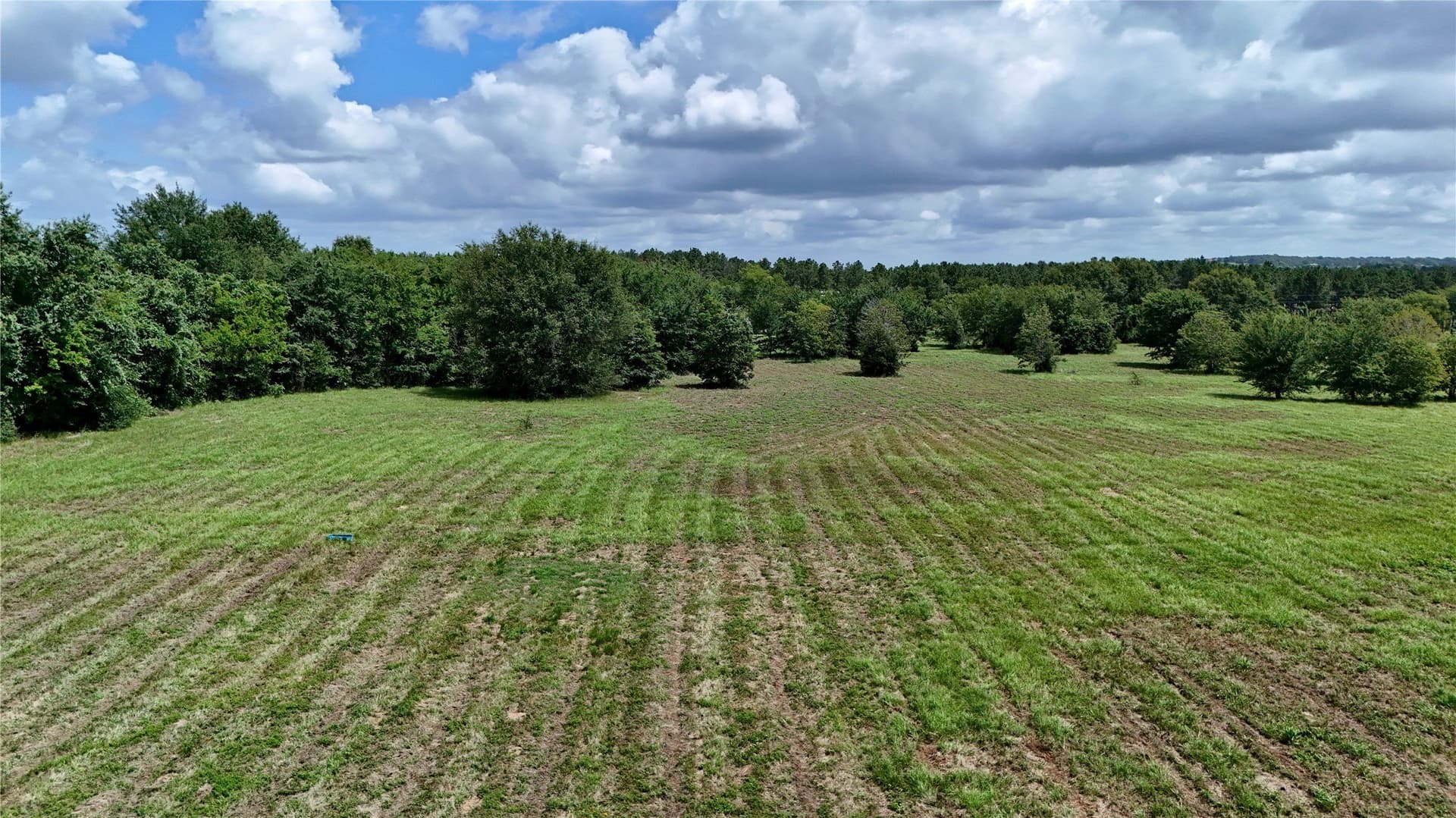 50 acres in Henderson County - photo 3