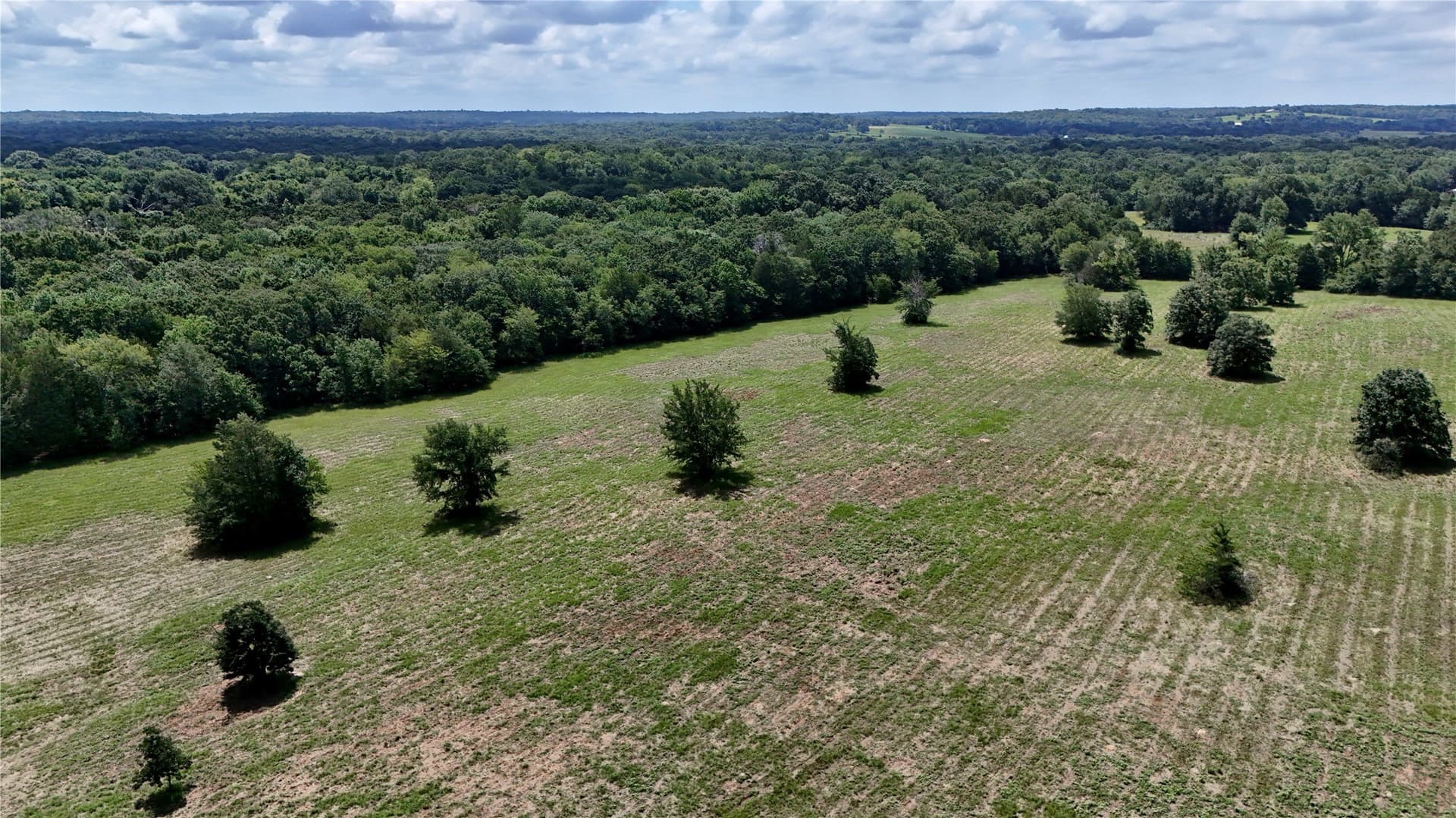 50 acres in Henderson County - photo 11