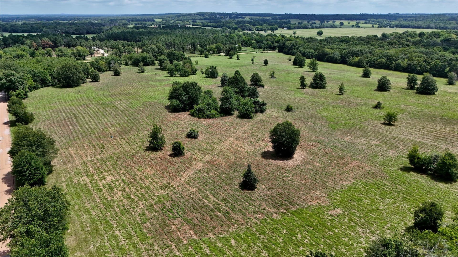 50 acres in Henderson County - photo 12