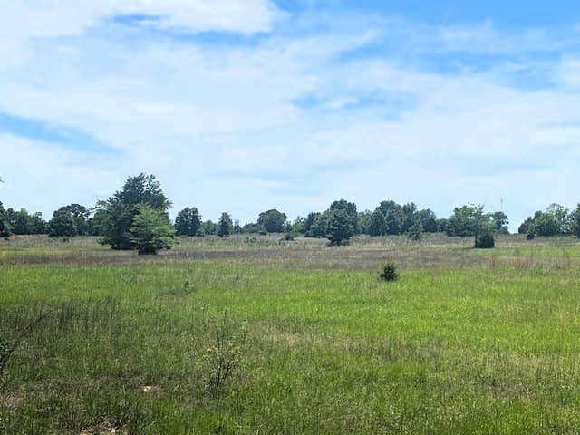 50 acres in Henderson County - photo 18