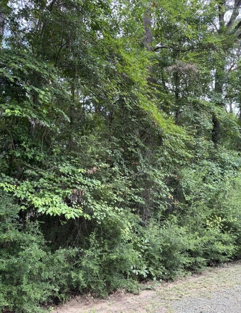 0.23 acres in Texas County