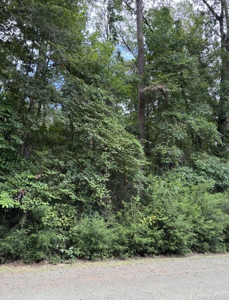 0.23 acres in Texas County - photo 3