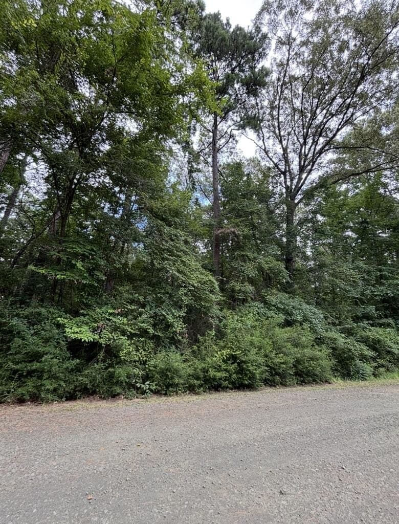 0.23 acres in Texas County - photo 5
