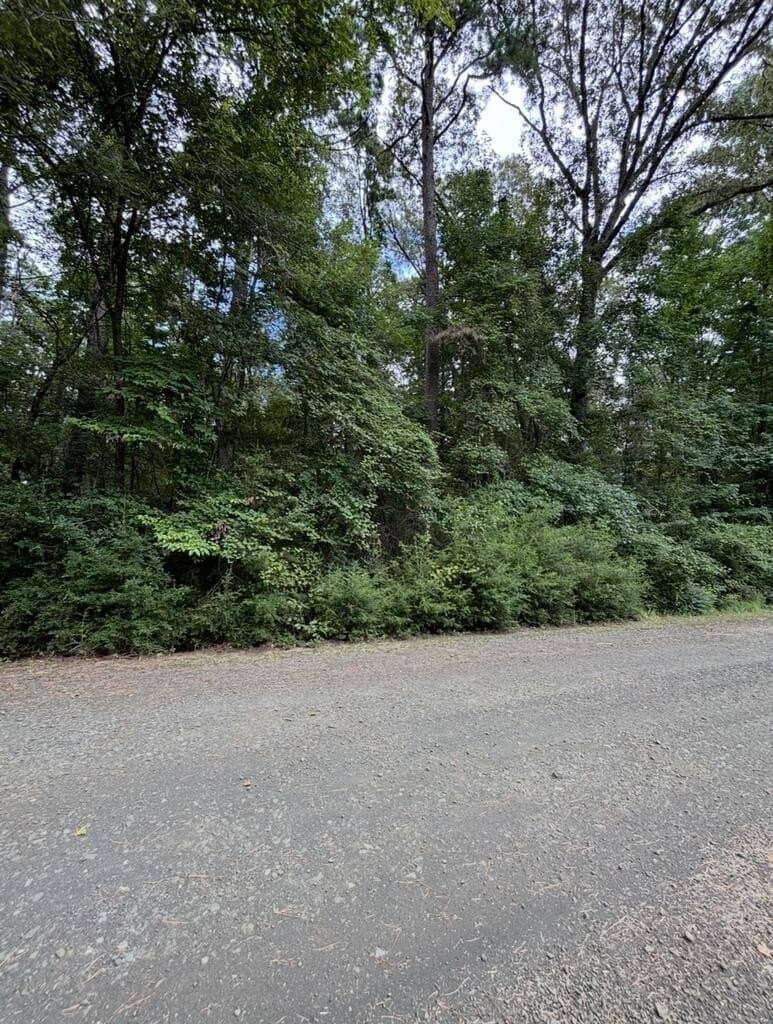 0.23 acres in Texas County - photo 6