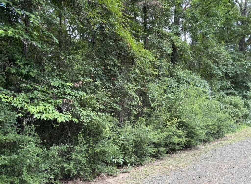 0.23 acres in Texas County - photo 2