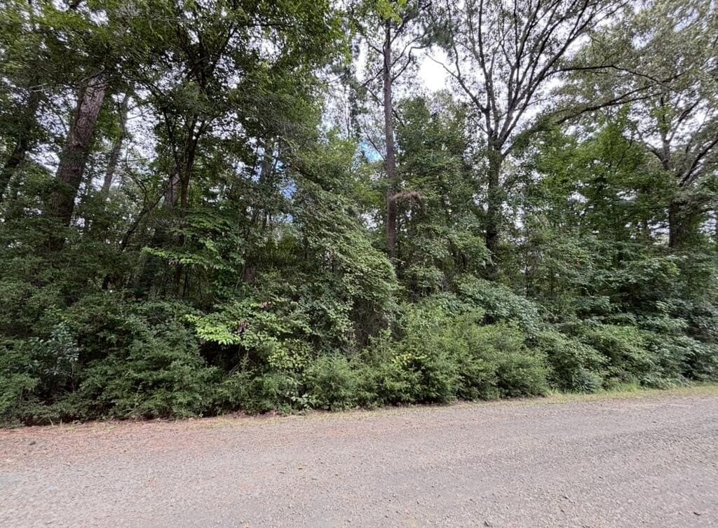 0.23 acres in Texas County - photo 4