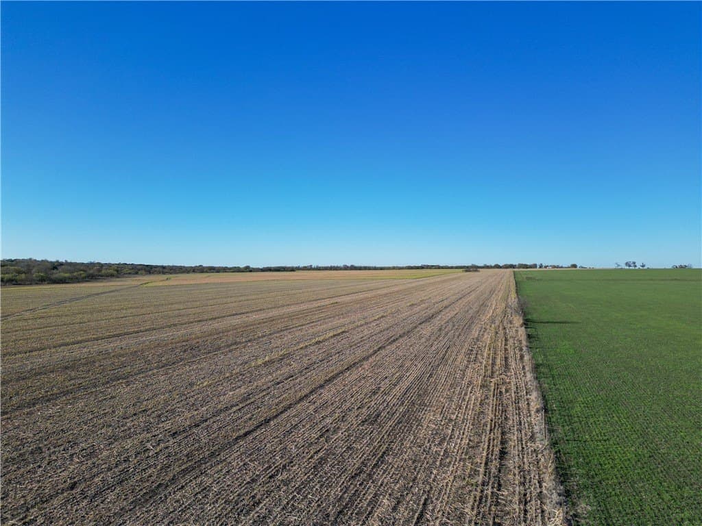 36 acres in McLennan County gallery image 4