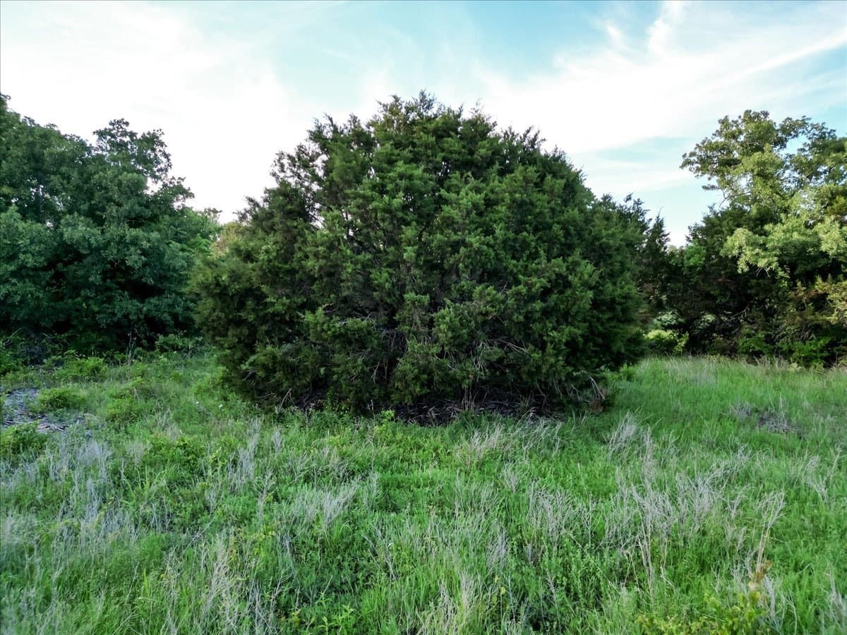 5.52 acres in Palo Pinto County - photo 16