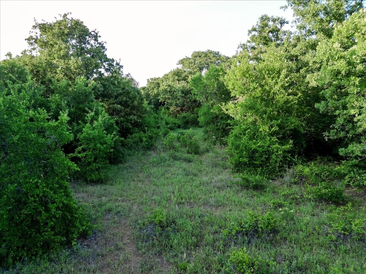 5.52 acres in Palo Pinto County - photo 14