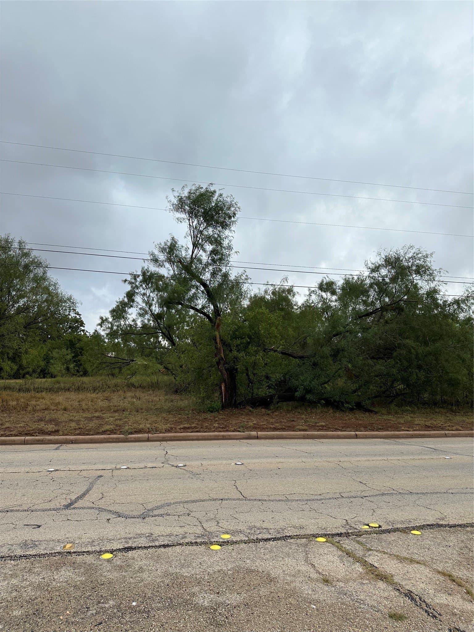 5.5 acres in Taylor County - photo 4