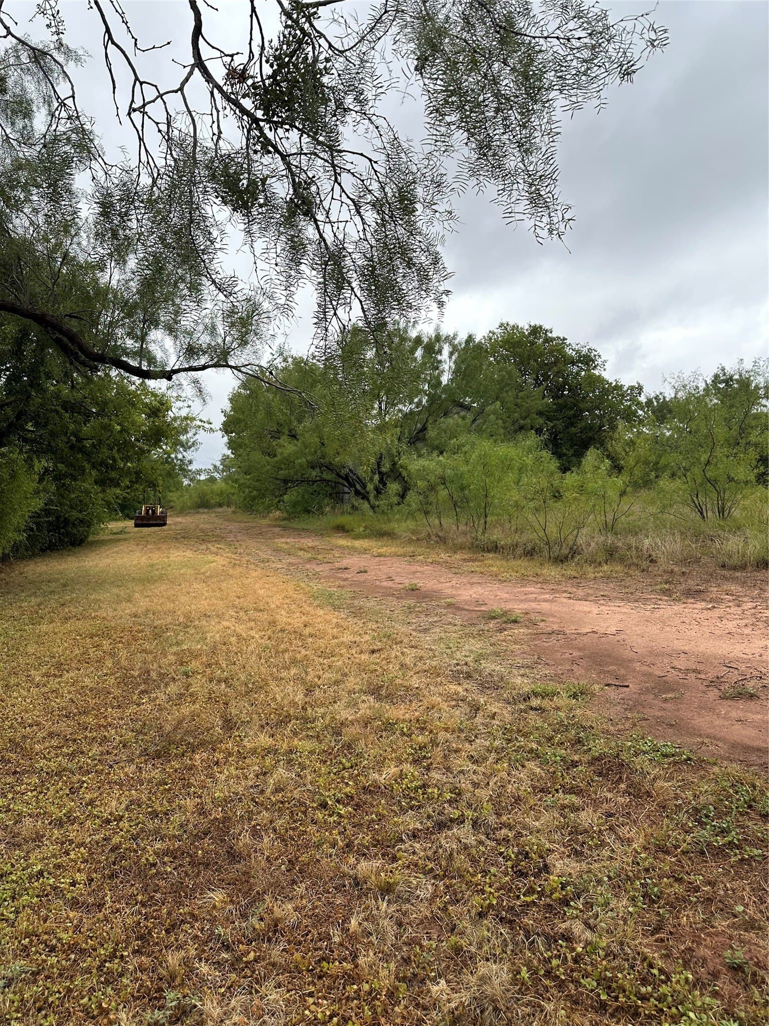 5.5 acres in Taylor County - photo 2