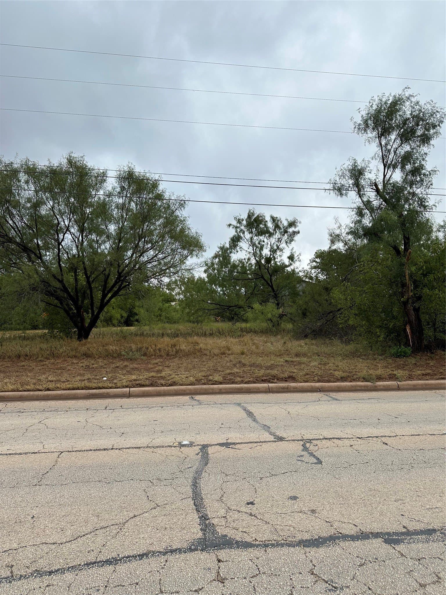 5.5 acres in Taylor County - photo 3
