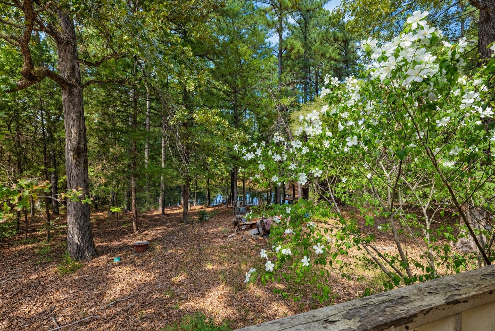 24.99 acres in Anderson County - photo 32
