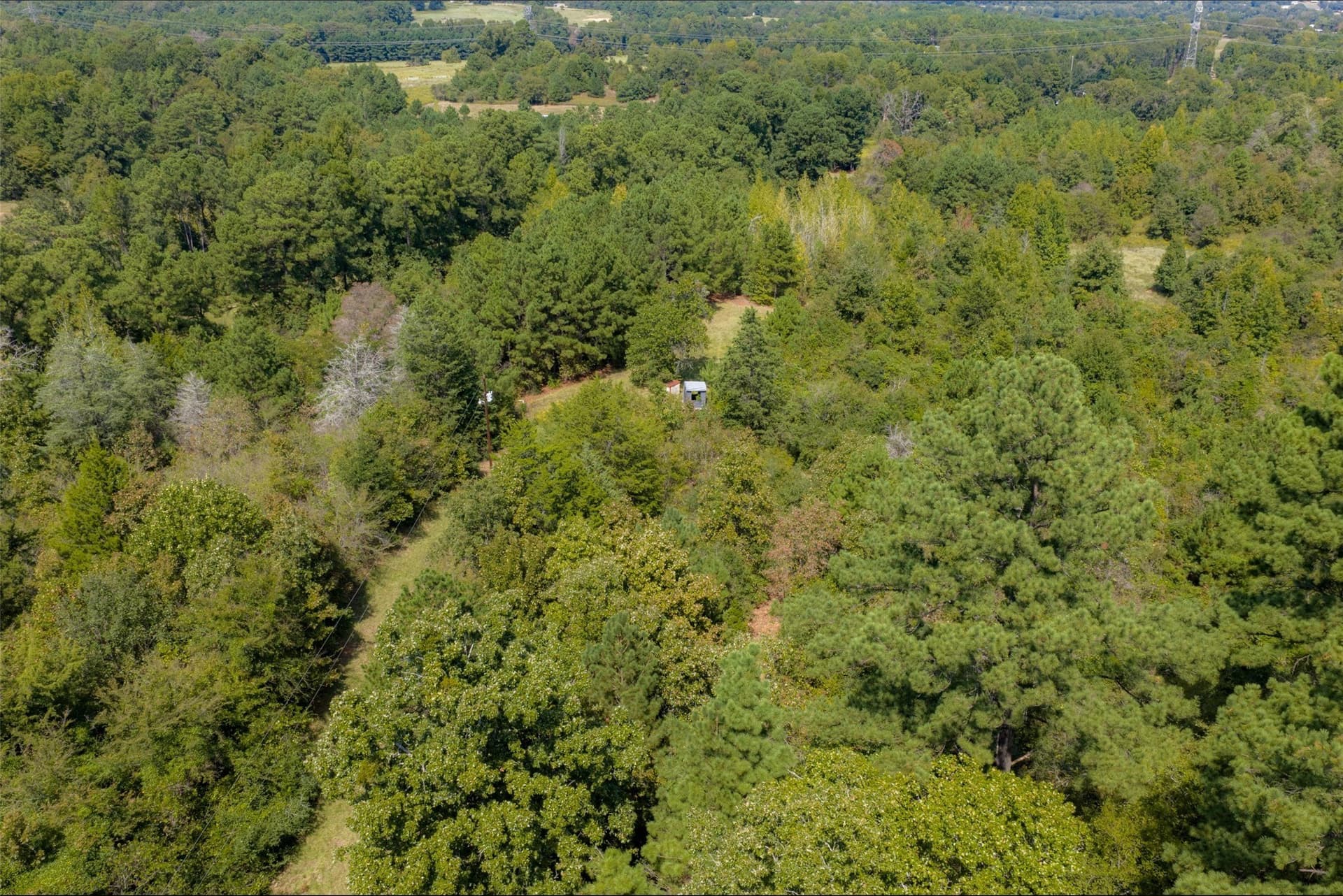 24.99 acres in Anderson County - photo 33