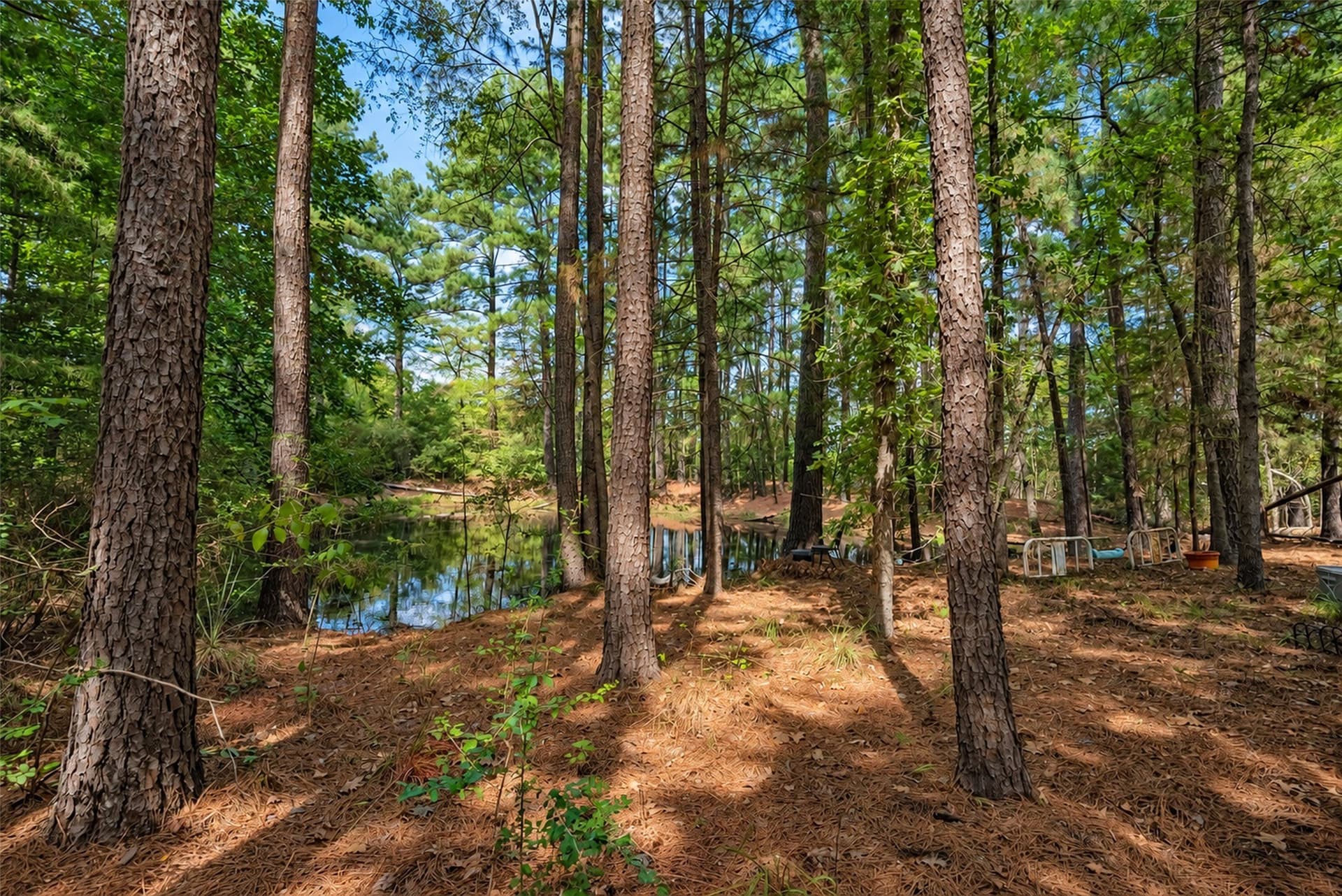 24.99 acres in Anderson County - photo 37