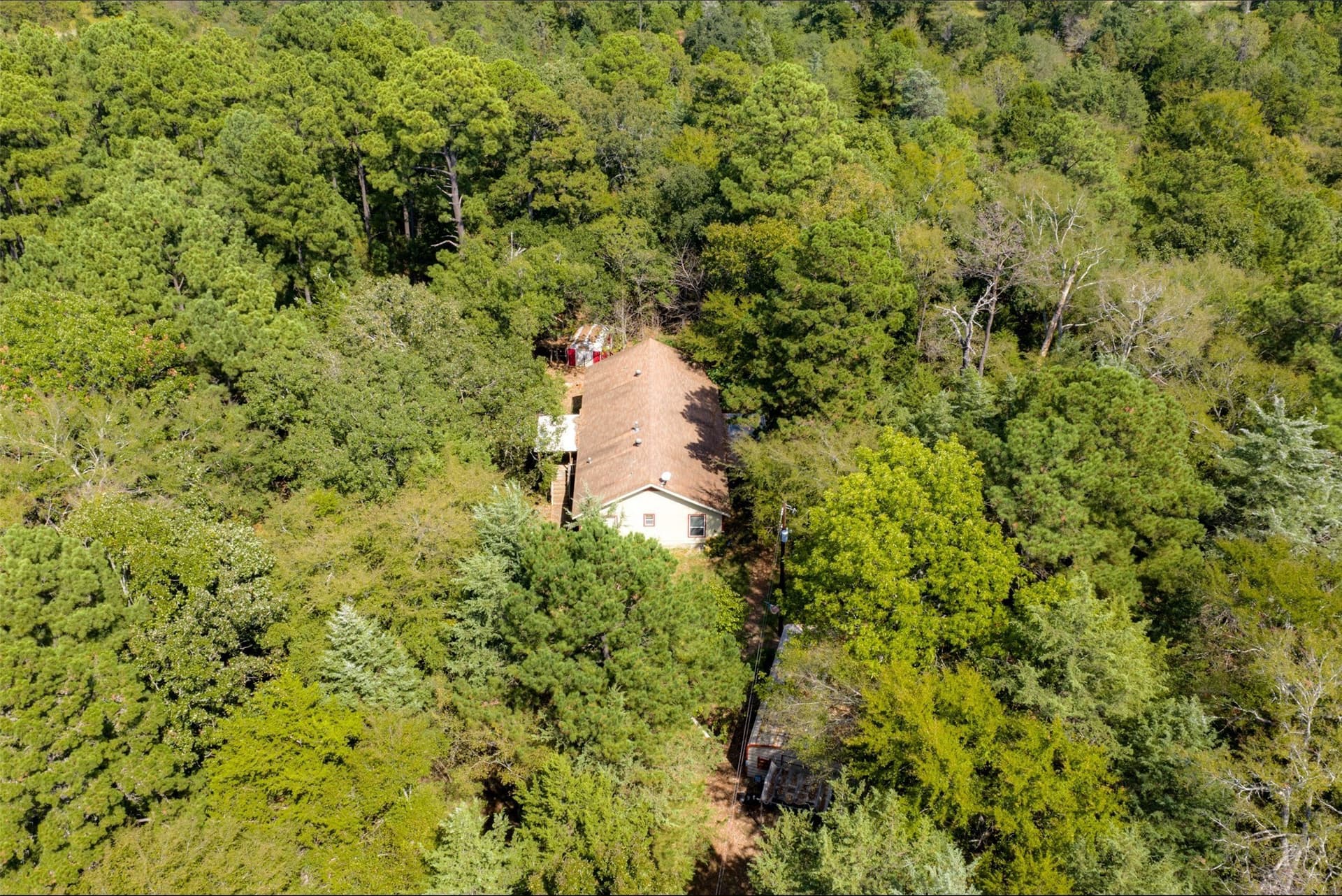 24.99 acres in Anderson County - photo 10