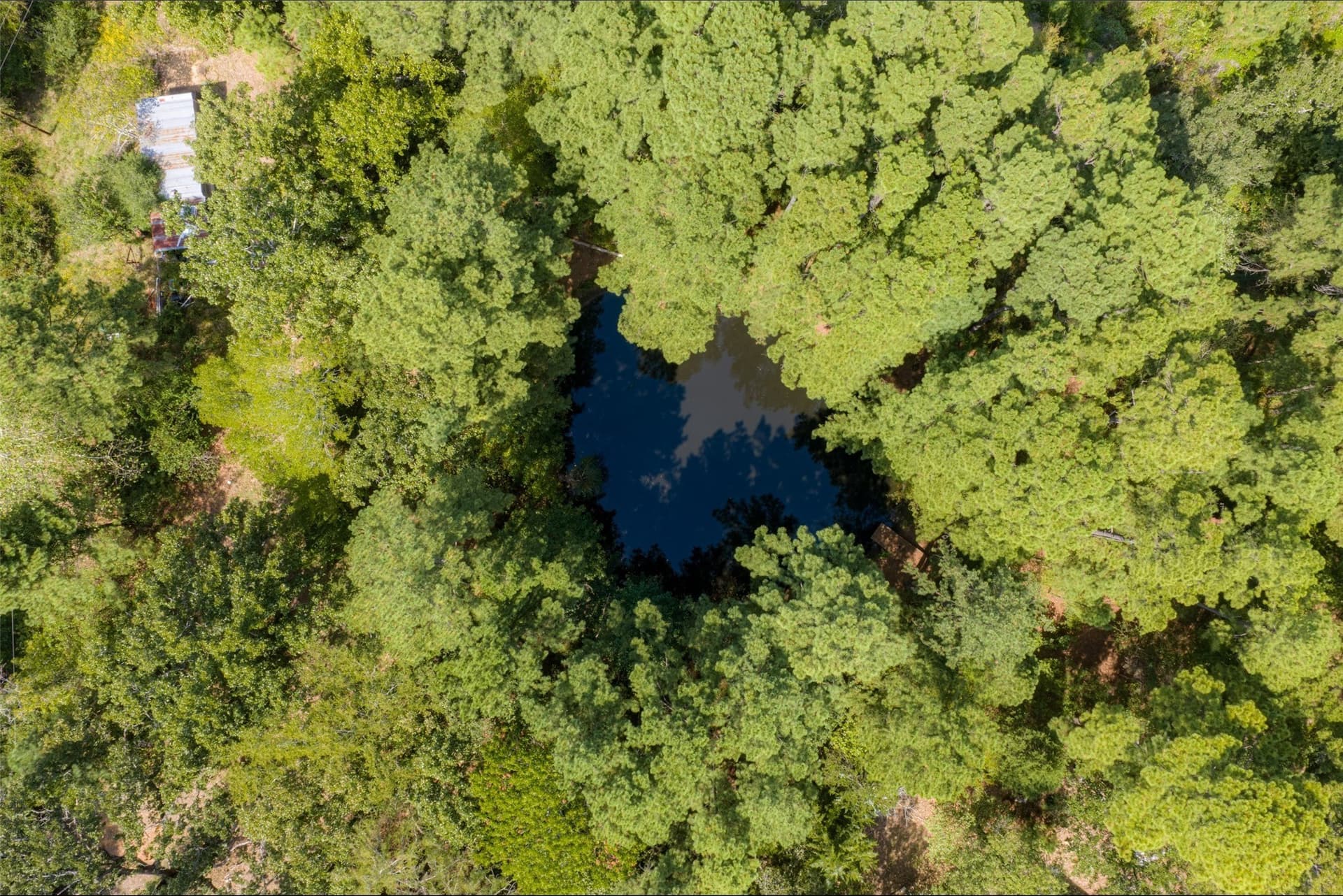 24.99 acres in Anderson County - photo 8